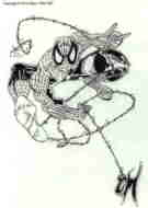 Spiderman - Black and White